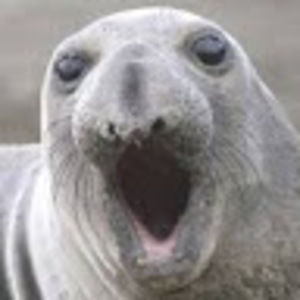 Meet your Posher, Ben